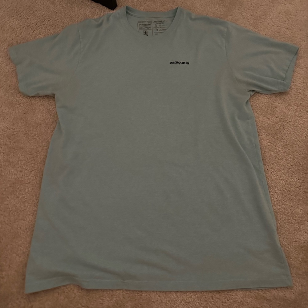 Teal Patagonia T Shirt
